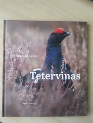 Tetervinas